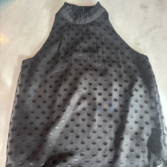 Ann Taylor Tops - Ann Taylor Sheer Swiss Dot Ruffled Halter-Neck Top